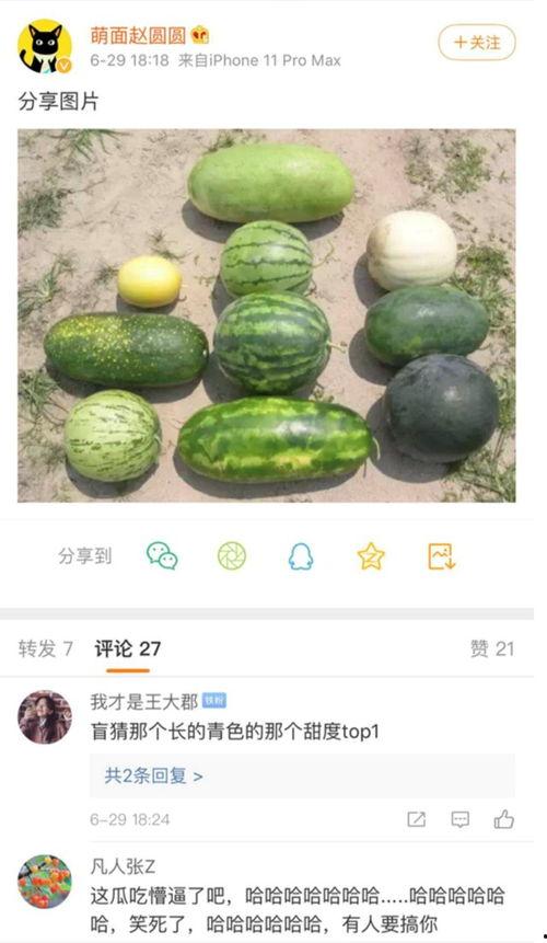 新瓜爆料最新,娱乐圈惊天大事件，真相即将揭晓！